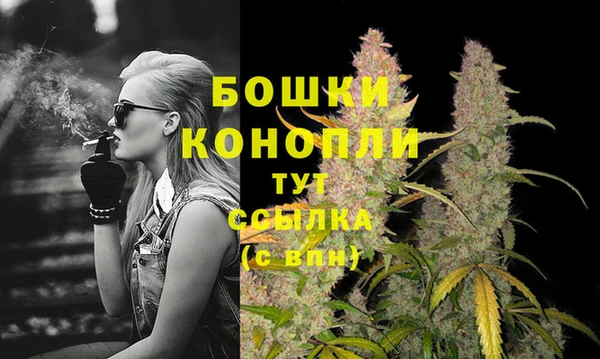 прущая мука Богданович