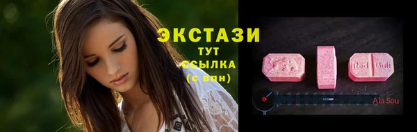 ECSTASY Богородицк
