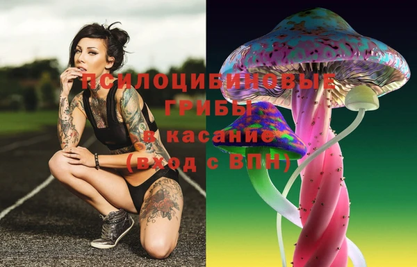 прущая мука Богданович