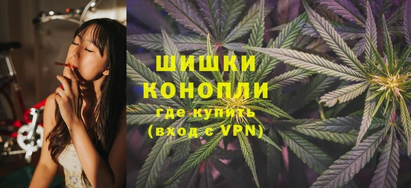 ECSTASY Богородицк