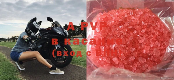 ECSTASY Богородицк