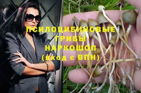 прущая мука Богданович