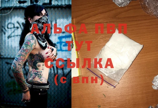 ECSTASY Богородицк