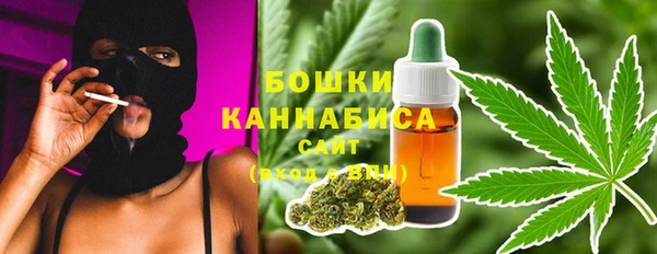 ешки Бородино