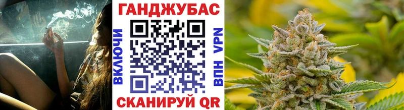 Бошки Шишки планчик  Владивосток 